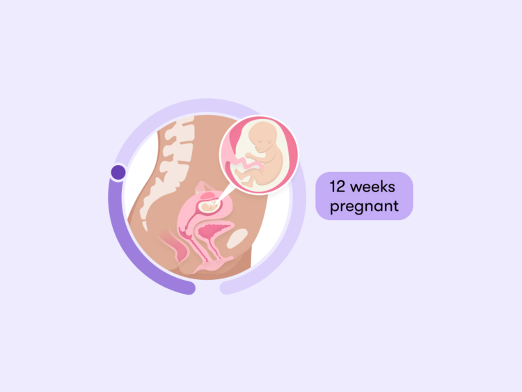 12Th Week Of Pregnancy Tips