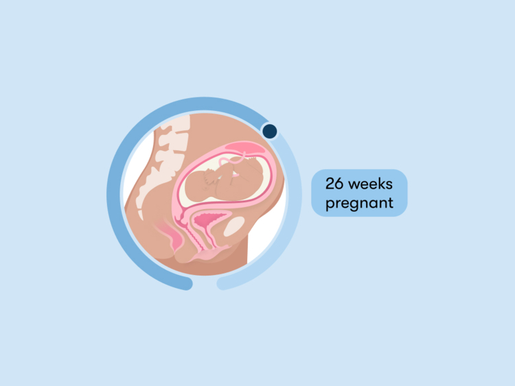 26Th Week Of Pregnancy Tips