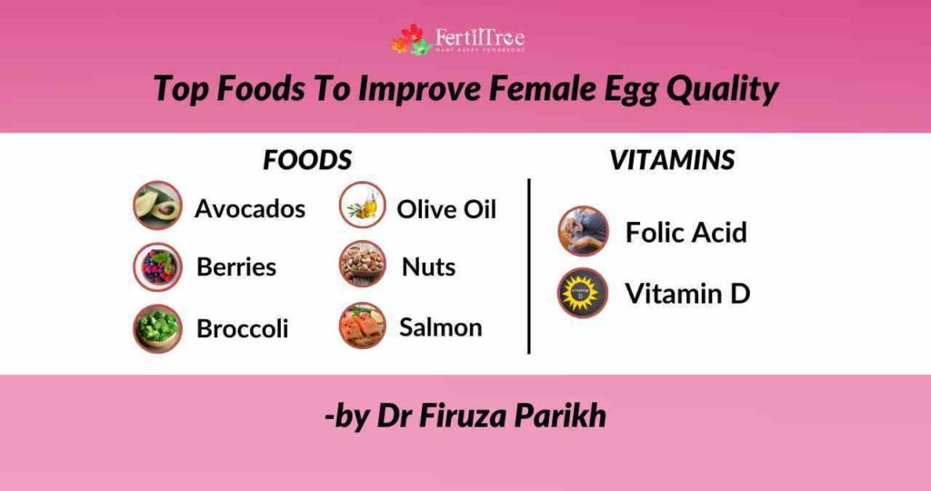 Foods Improving Quality Of Egg Cells