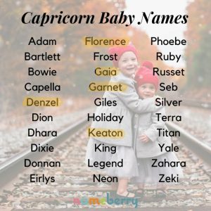 Capricorn Baby Boy Names